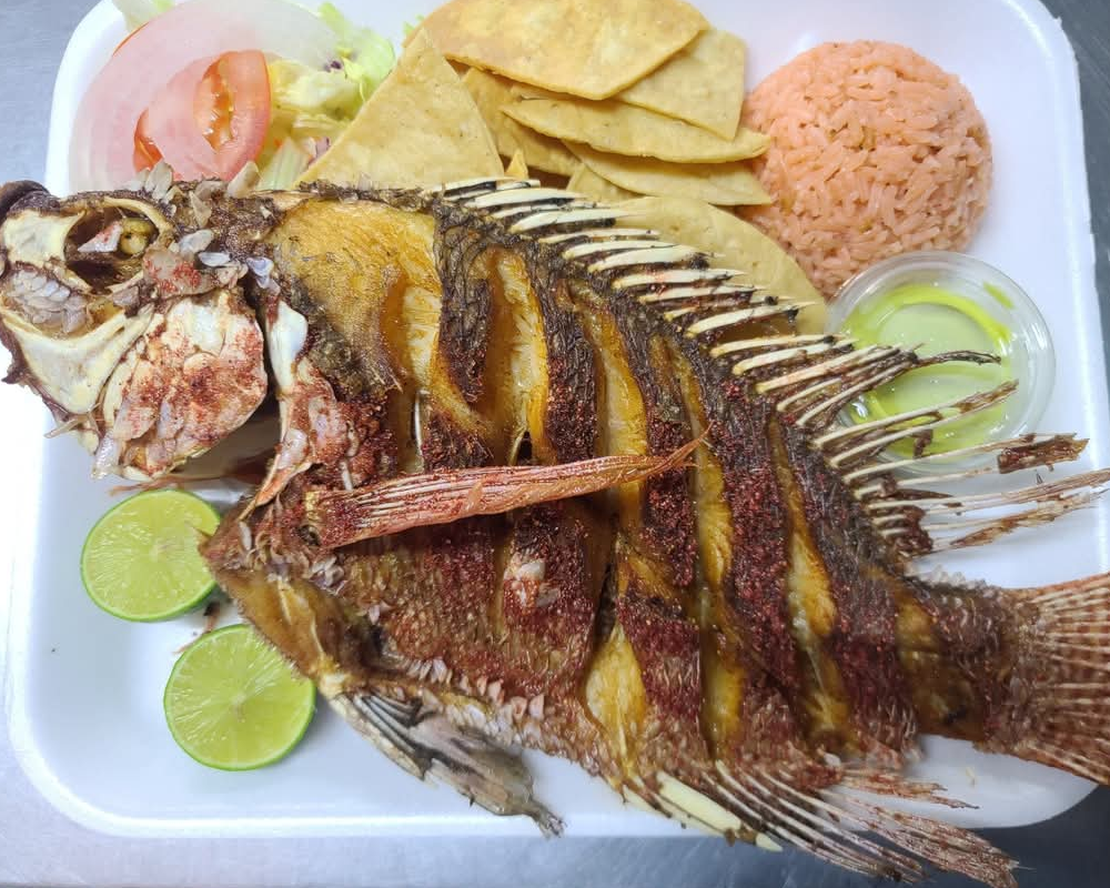 Trucha de Pescado